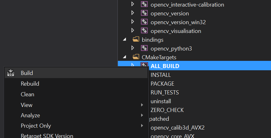Building with Visual Studio